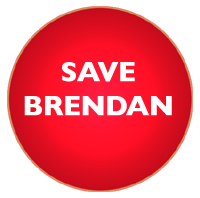 save-brendan-1.gif